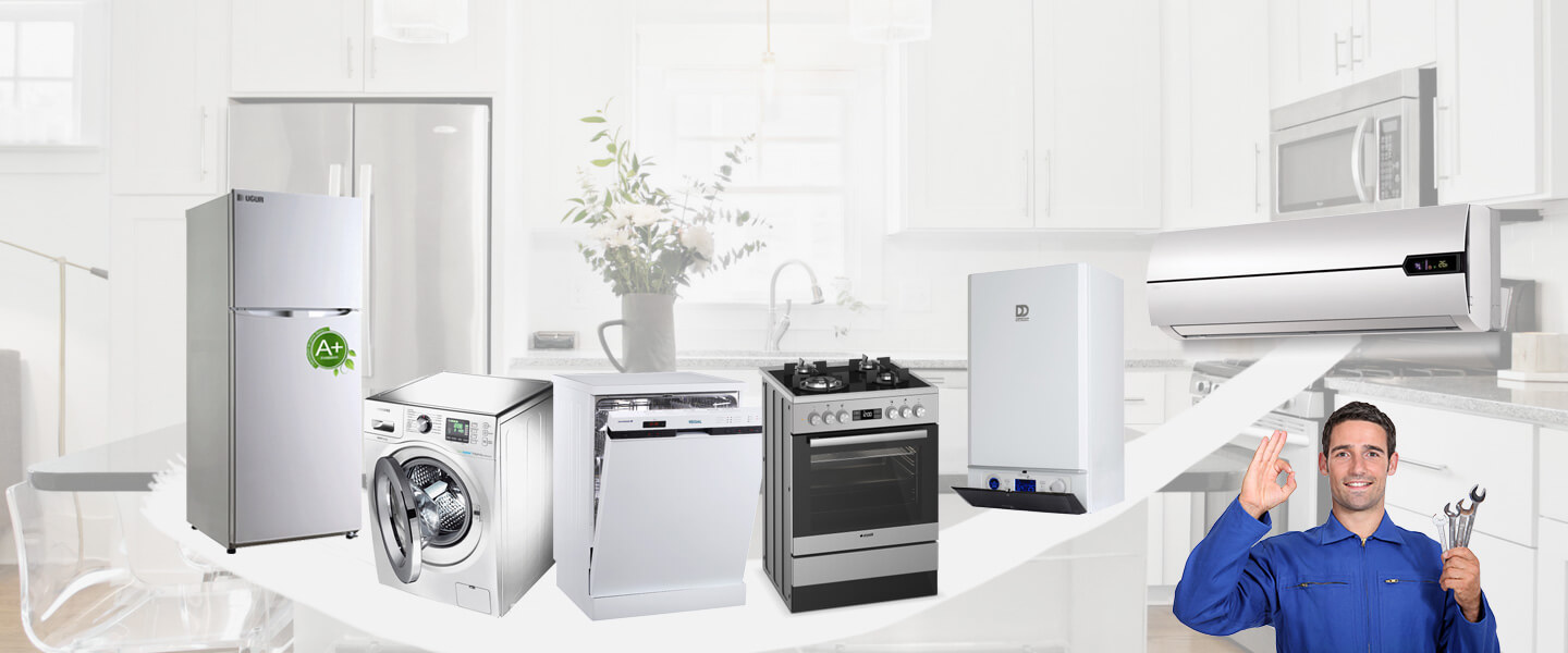 Manyas Electrolux Servisi
